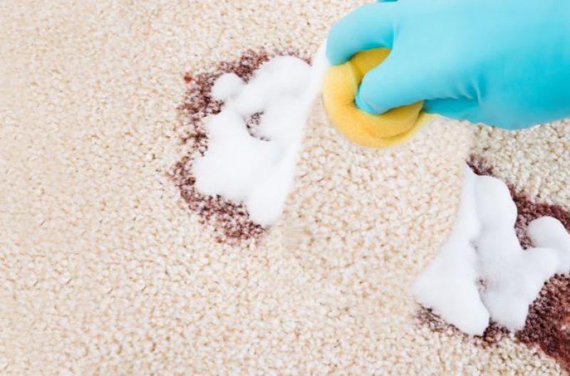 How To Clean Vomit From Carpet Faces Design